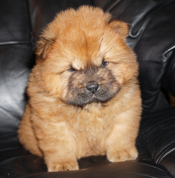 Good Day Sunshine (5 week)