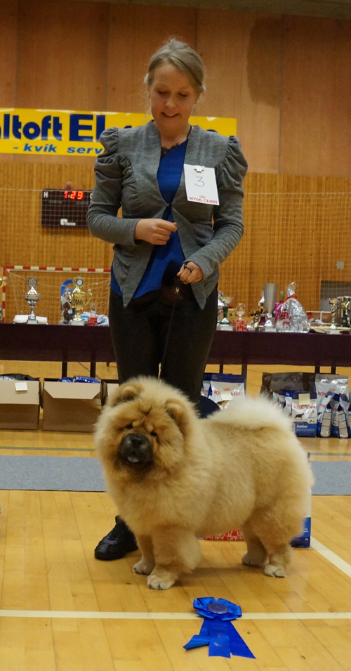 Stagebo's Fortune Cookie (Mollie) - 2nd best babyfemale - Bredsten 28.11.2015                