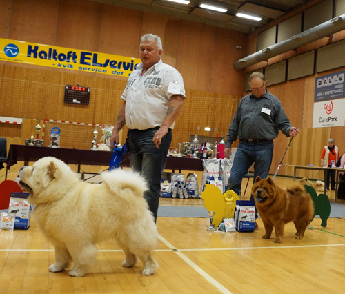 Juniormale 2. Ba-Tong's Nichos The Noble One 3. Ei Ko Grazios Zung Tzung Le