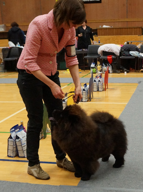 Juniorfemale 4. Orinell's Never Say Never