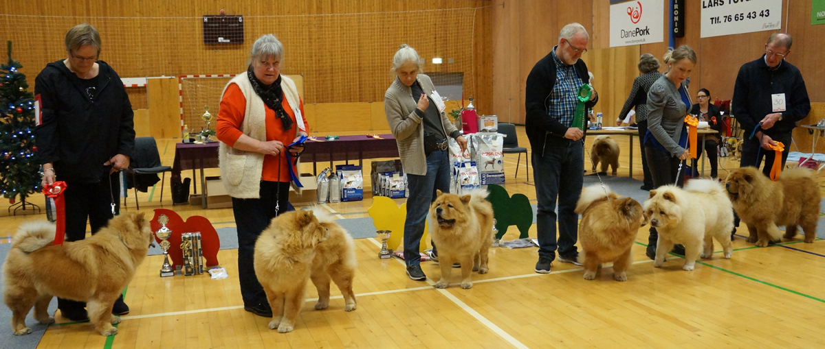 Open female: 1.Peli's Citta To Flensborg 2.Ursulas Chu Fu Ron Ja 3.Bidachows Tip Top Tessa 4.Hsiung Kou's Yuh Hsin Te 5.Stagebo's Crack Of Dawn 6.Stagebo's Do Wah Diddy Diddy