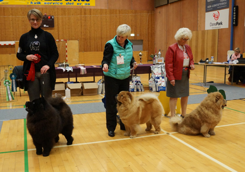 Champ.females 1.CH Stagebo's Zip Code 2.CH Stagebo's Angel Of The Morning 3.CH Peli's Zakaya Of Flensborg