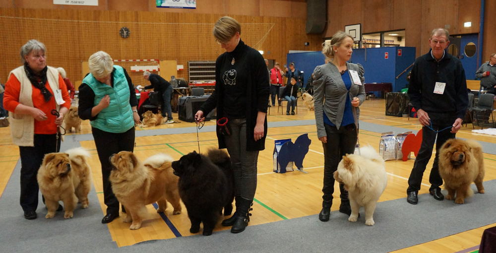Stagebo breederclass-Christmas Open Show 