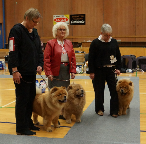 Breeding class: 1. Peli's