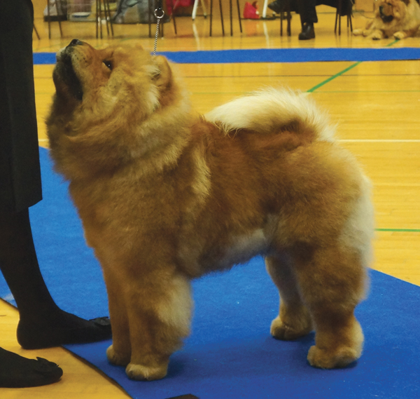 Best junior male+jun.cert.: Piuk Chow Paradise A Place On Earth 