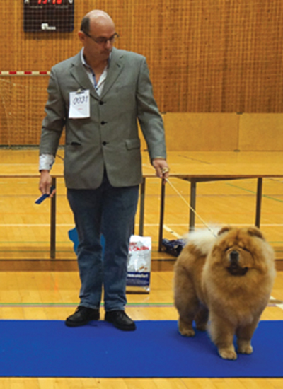 2.Champ.female: CH Stagebo's Angel Of The Morning