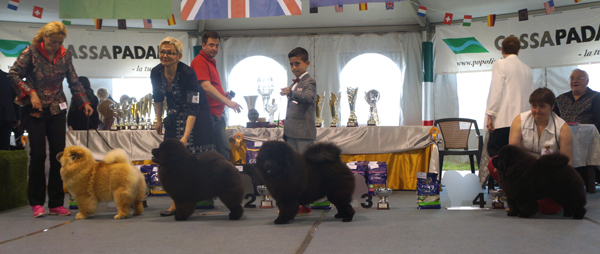 Junior females 1-4