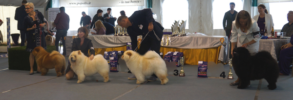 Champion female 1-4