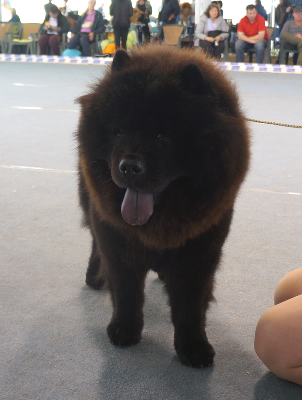 Interm.female (VG): Long Feng Alex Munday