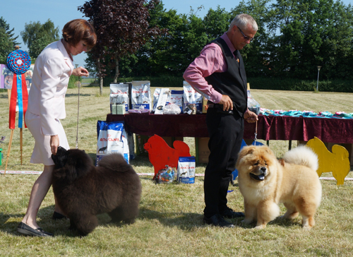 Puppy dog 1. Estee Lauder Djalo 2. Piuk Chow A Paradise Of Happiness