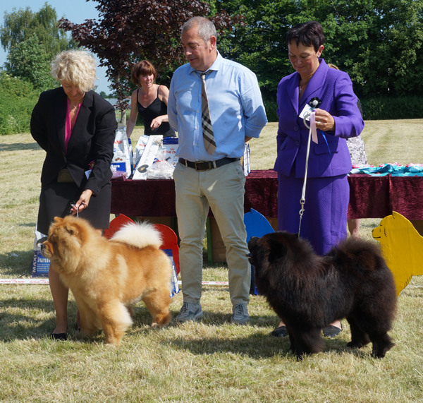Intermedia dog 1. Piuk Chow Paradise A Place On Earth (BD2)-2. Simauta Dess Messing