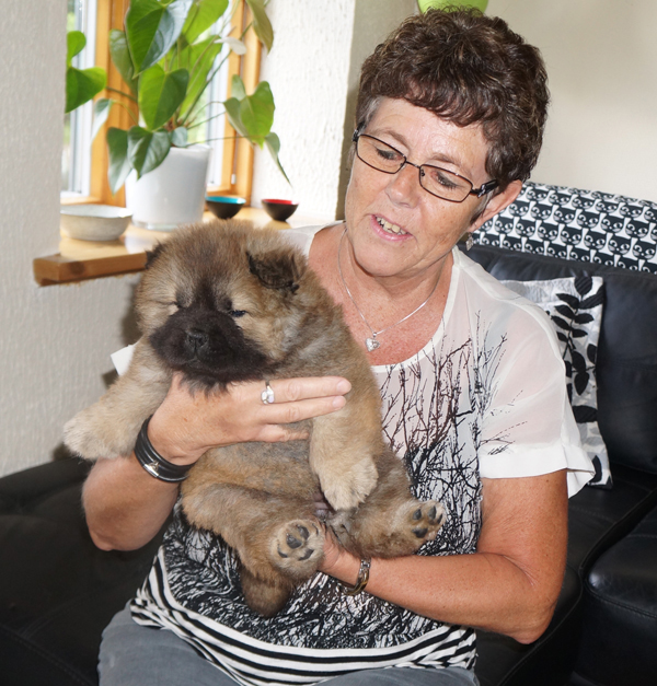 6 week-2. visit of the new owner