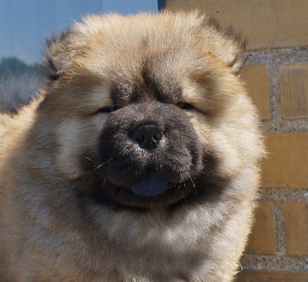 8 week