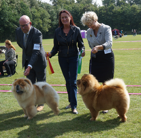 BOB (left) CH Pirates Boy Of Phantasy BOS CH Piuk Chow Sweet Queen Of Phantasy