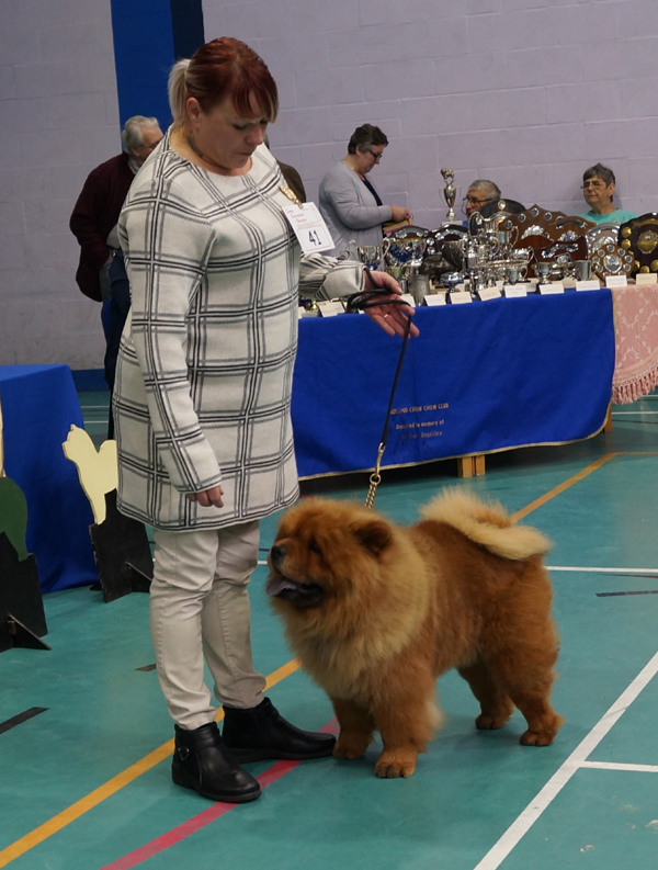 Spec.beginn.dog: 1.Janaja Bear Just For Me