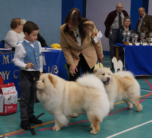 SPec.grad.dog-AOC-1. Browny's Bodhi Bear At Cheuntao 2. Cosmic Cream Crashendo