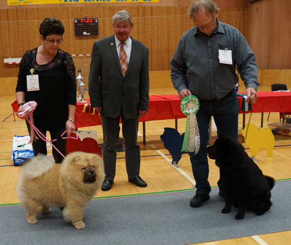 BOB Puppy (left): Stagebo's Here Comes The Sun-BOS Puppy: Bidachows Happy Smooth Harry 