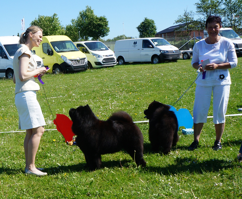 Champ.male 1. CH Piuk Chow Possesses Black Passion 2. CH Simauta Dess Messing