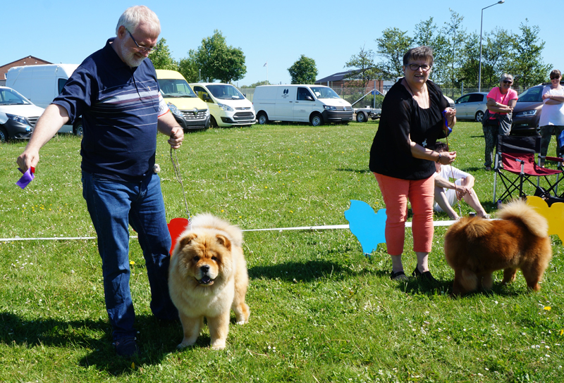 Junior female 1. Hsiung Kou's Miss Malika (jun.cert.) 2. Nrskov's Jenny