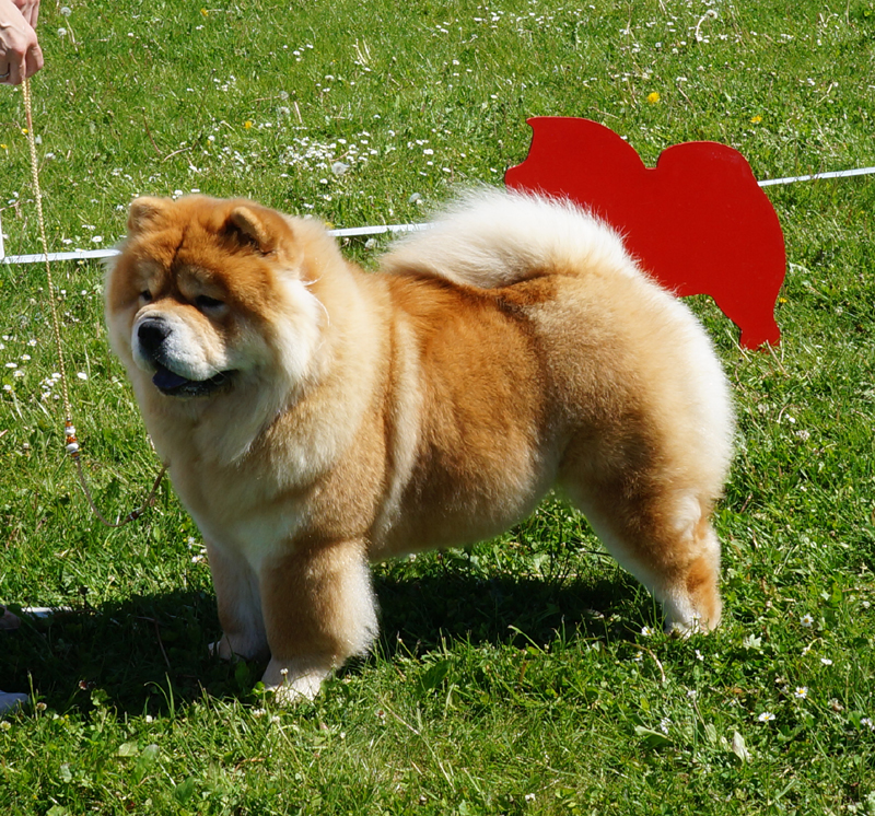 Intermedia female: 1. Piuk Chow Sweet Magic Of Phantasy