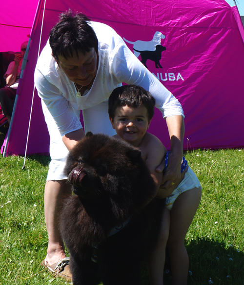 Child and dog
