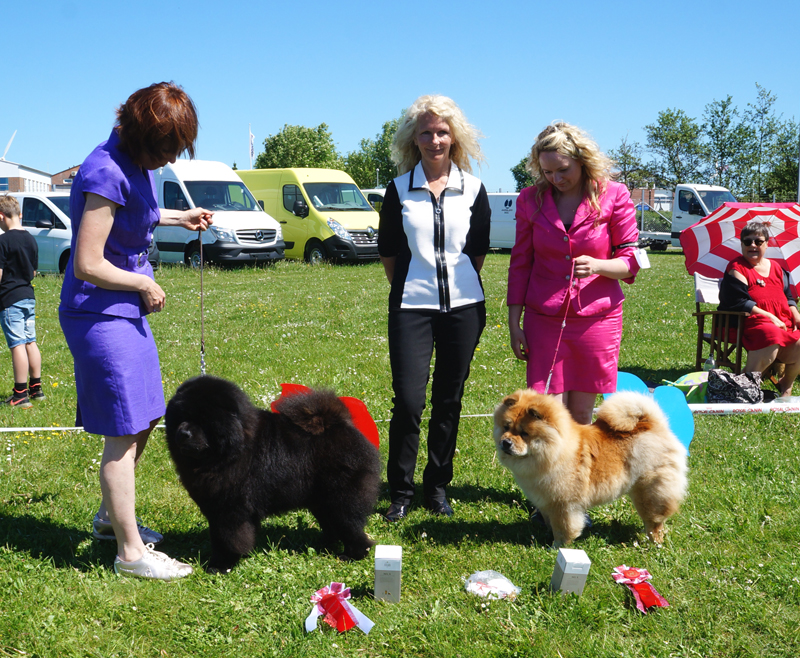 BOB+Cert (left) Estee Lauder Djalo - BOS+Cert Bidachows Wonderful Valentina