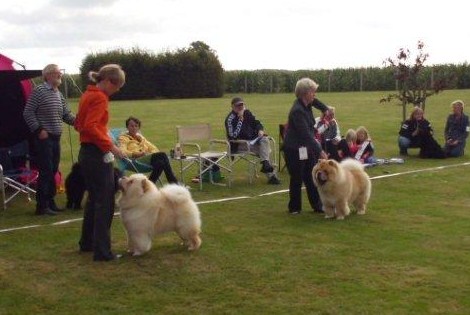 Competition for the Certificate
