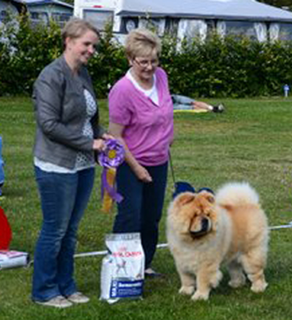 Best Champion CH Mi-Pao's Red Sumac (photo: Jrgen Jensen)