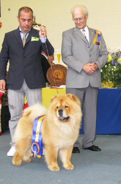Dog CC+Res.BIS Moima Alberto Tomba