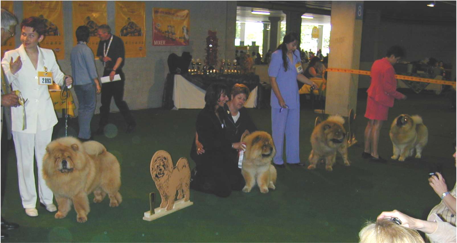 Youth World Winner: Bon Triumph Alex-2nd:Tin Pan Alley Al Pacino-3rd:Mortimer-4th:Chinabear Golden Eclipse