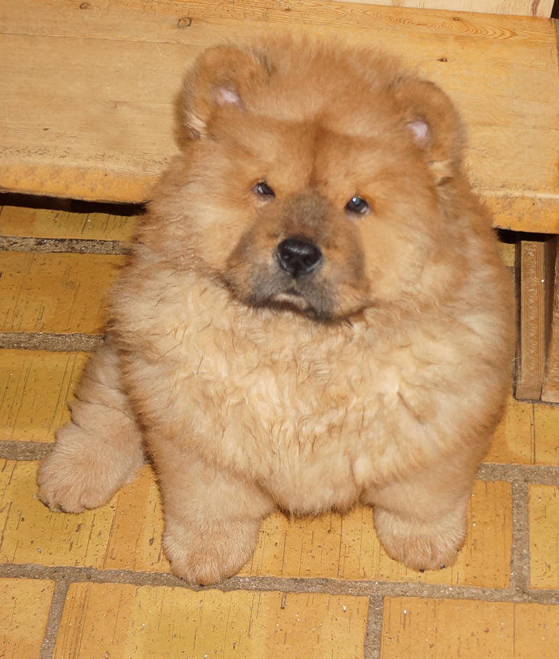 Good Day Sunshine-10 week