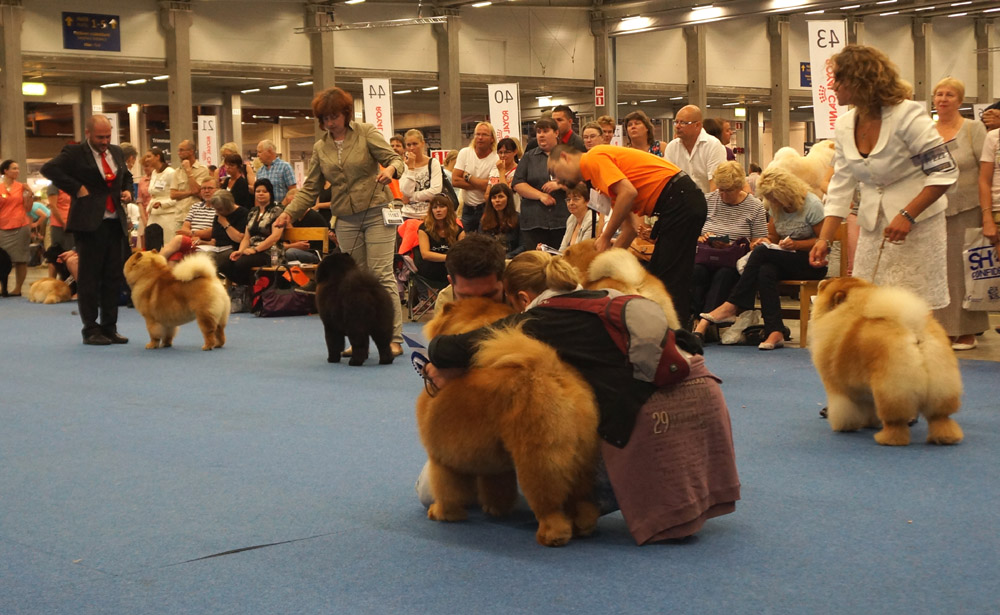 Happy winners of Best Dog compitition-CH Heart Mind Fire Dei Leoni Imperiali