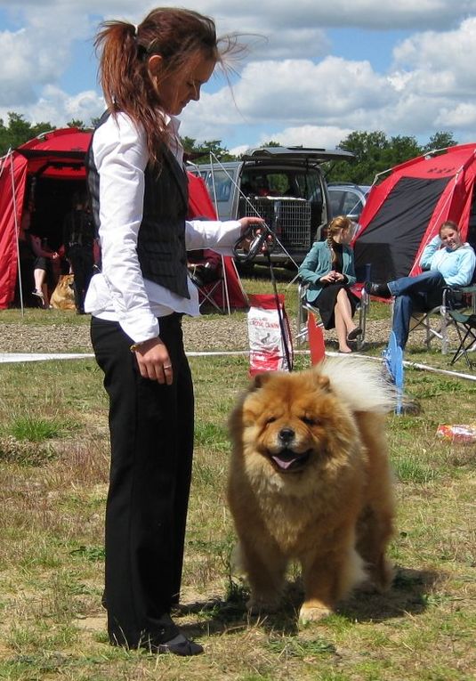 Open male-Exc.2-Stagebos Tambourine Man-Photo Lis Taul