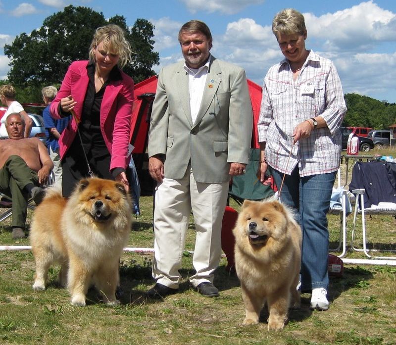 BOB Bidachows Gentle Gibson-BOS Nellwoods Yu Lin