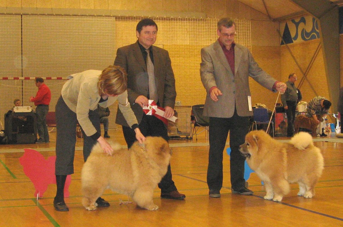 Best puppy Orinells Ego Trip + best femalepuppy Orinells Ever So Lovely