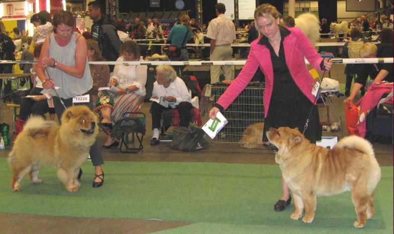 Junior male 3.Tang Quans Aapo 4.Bidachows Kind Smooth Kalvin Klein