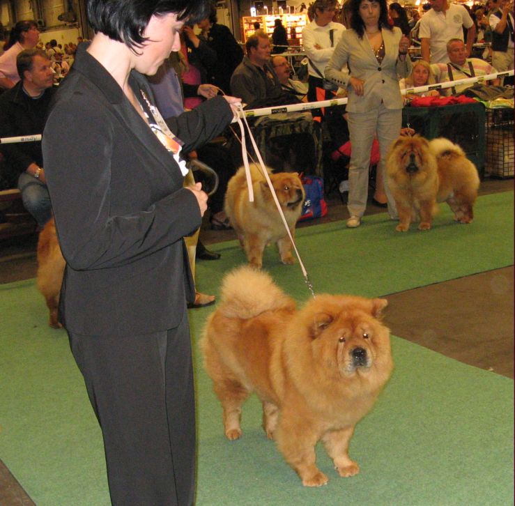 Open class females 3. Unicca Labska Cesta
