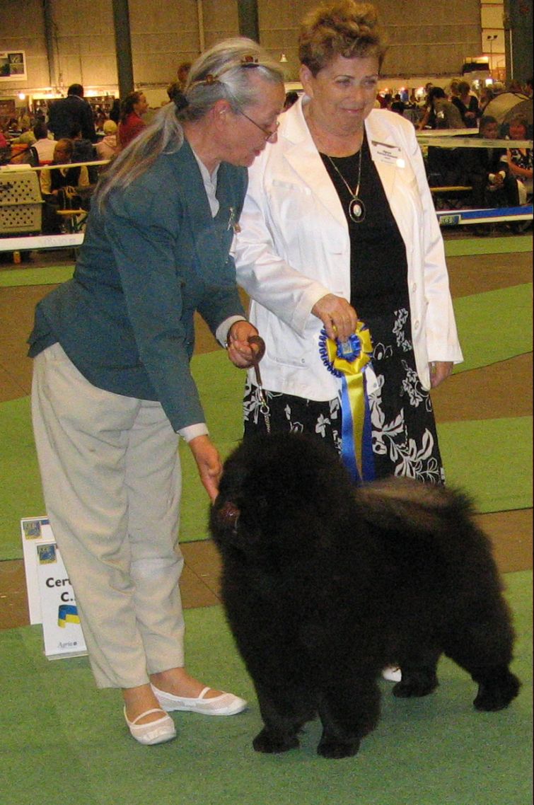 JWW08 females CC-Best Junior Supremum Amba OIncipit