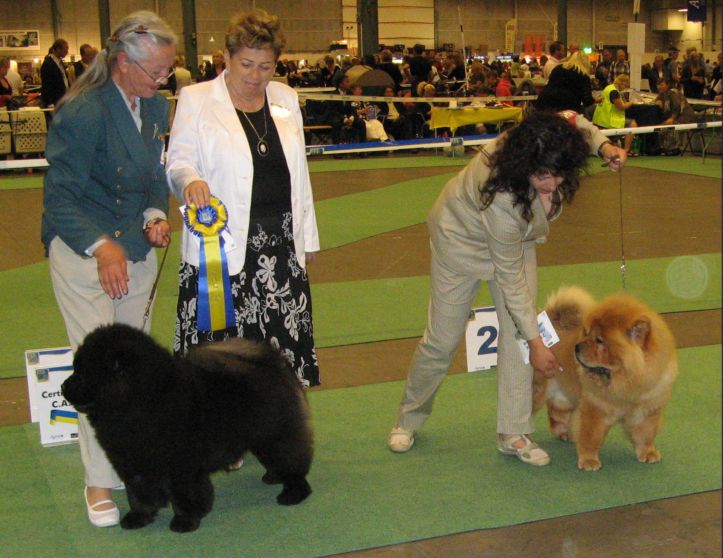 Competition for the female CC 1. Supremum Amba OIncipit 