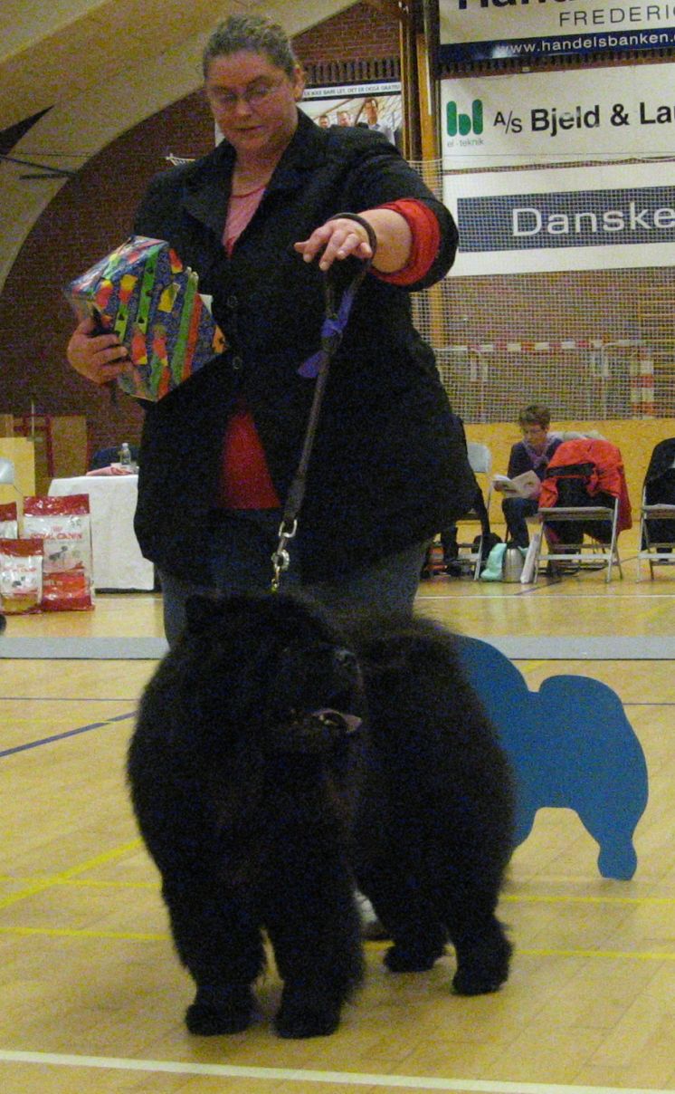 Champ.male 2. CH Nin-T`Sun Ricko Black