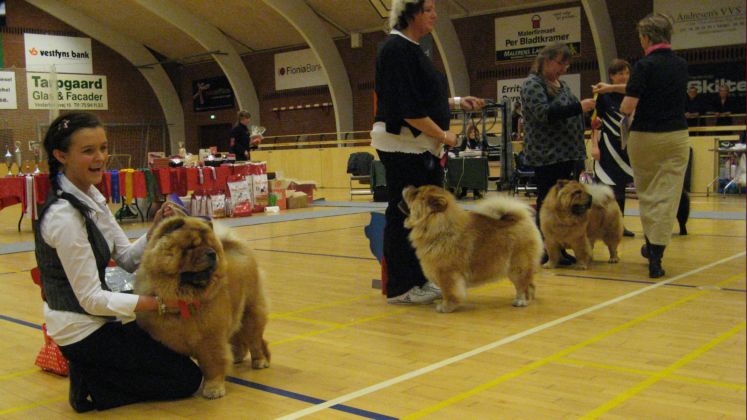 Junior females 1. NORJV08 Chan-Los A Kind Of Magic+2. Dian Shan Noble Nadja+ 3. Zena 