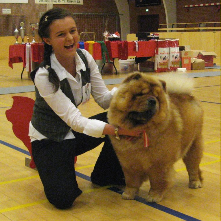 Errits 08-BOS-Cert.-NORJV08 Chan-Los A Kind Of Magic