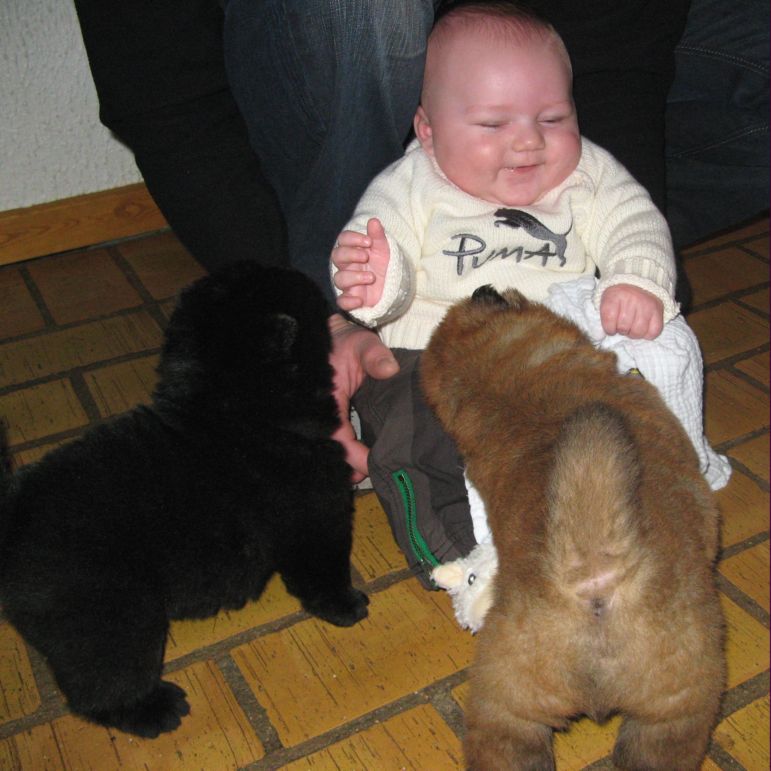 Hector and 3 week old puppies