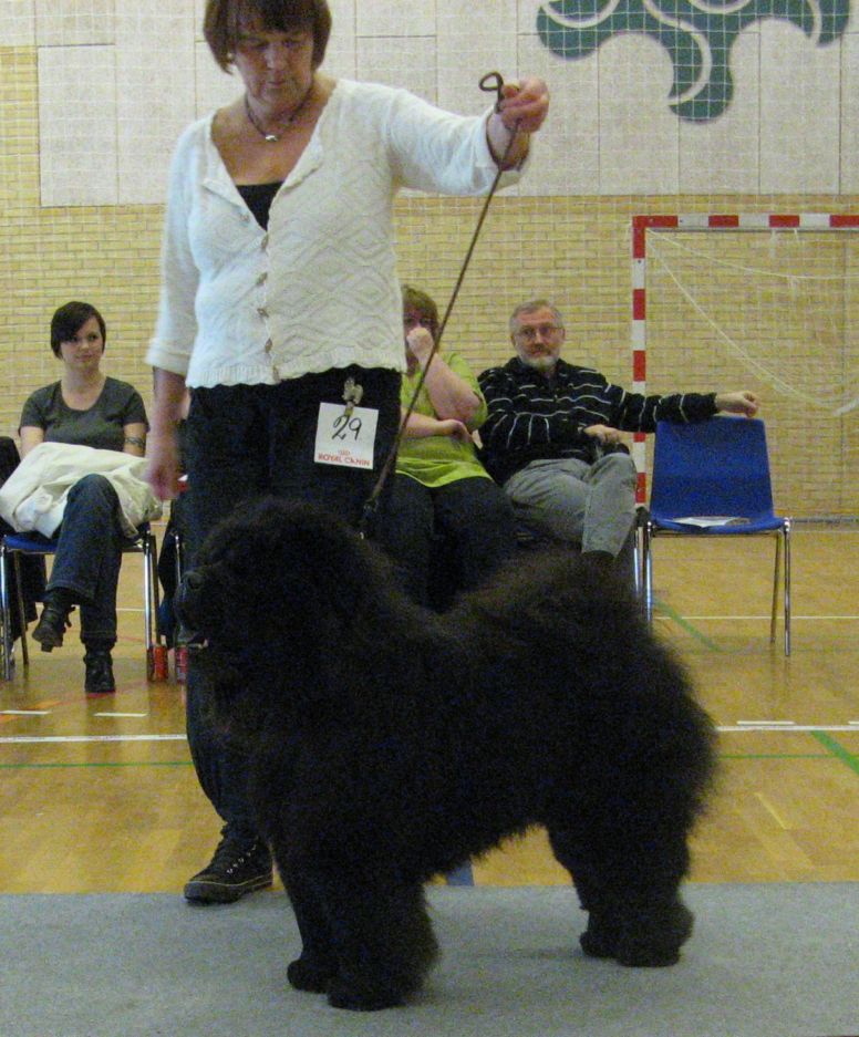 Best male Cert.Ba-Tongs Moo-Yang Hei Li