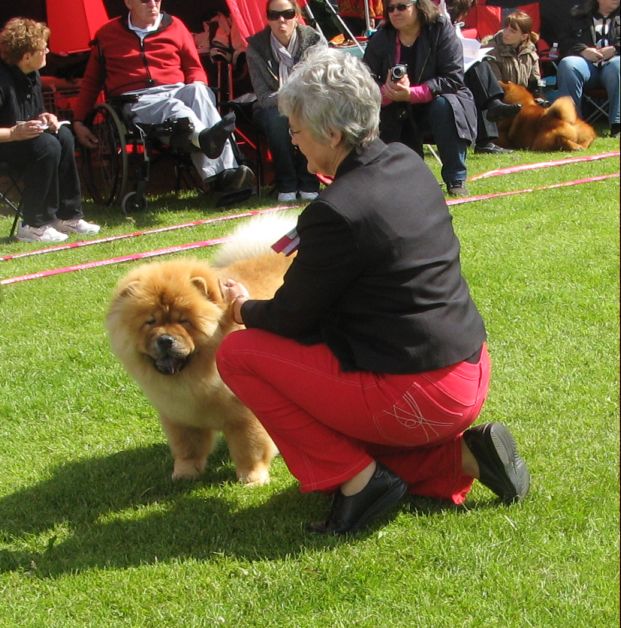Chan-Los Bang A Boomerang-SL (13/6)