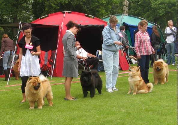 Intermediate females 1-4