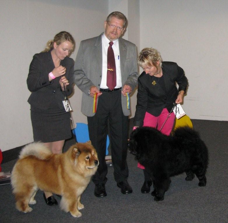 BOB-CH Bidachows Joyfull Jossie BOS-Orinells Extra Extra