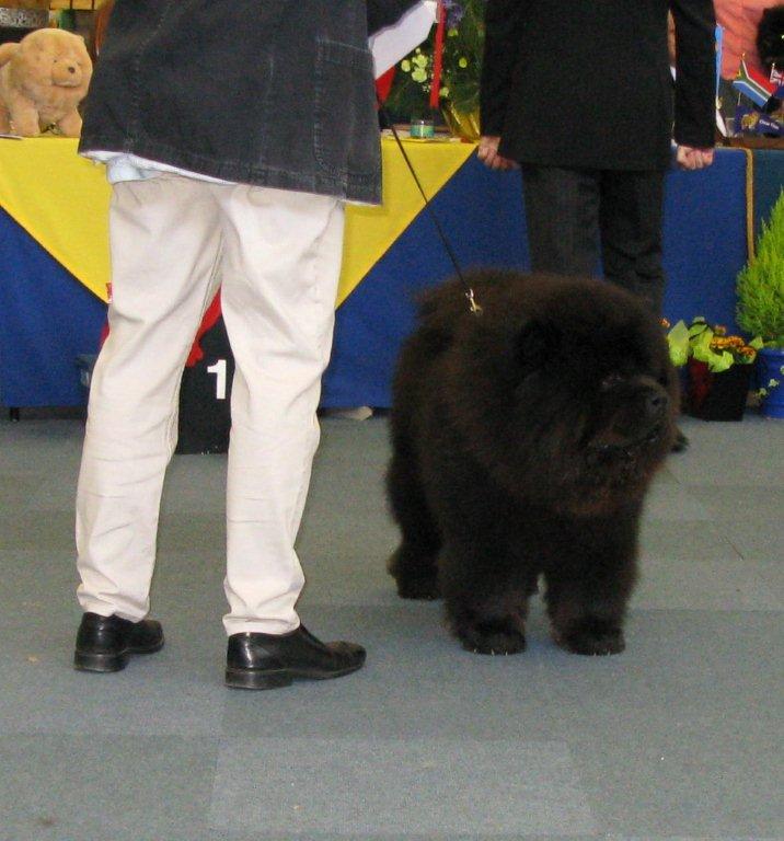 AOC 1.+Dog Res.CC Cherrymount Good To Be Black For Lechan