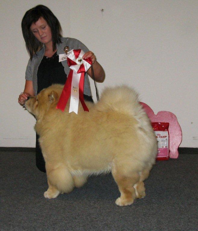 Best puppy-BIS4 puppy Mi-Paos Red Sumac
