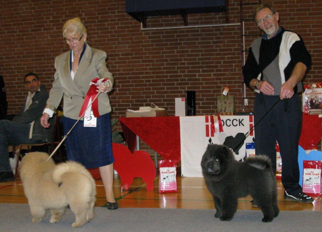 Best Baby (left) Pelis Zakaya Of Flensborg-Best Baby male Pelis Ziggi Of Flensborg